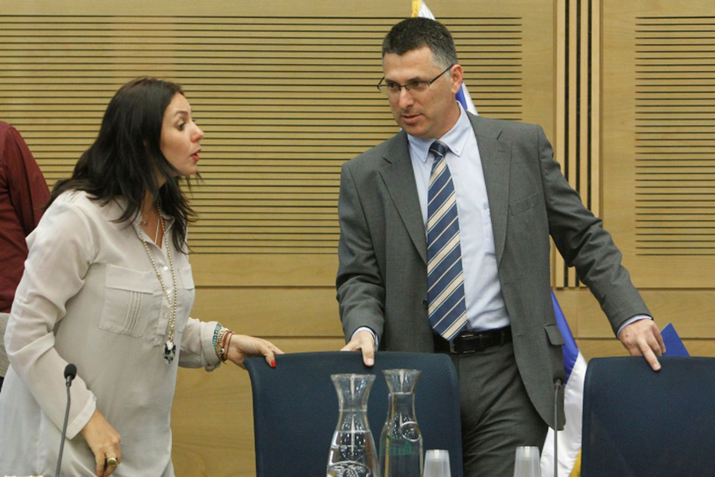 רגב נגד סער: "הדחה של ראש ממשלה מכהן"
