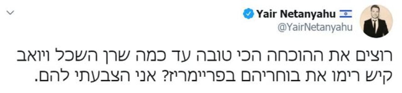 "הצבעתי להם בפריימריז": הוידוי של יאיר נתניהו