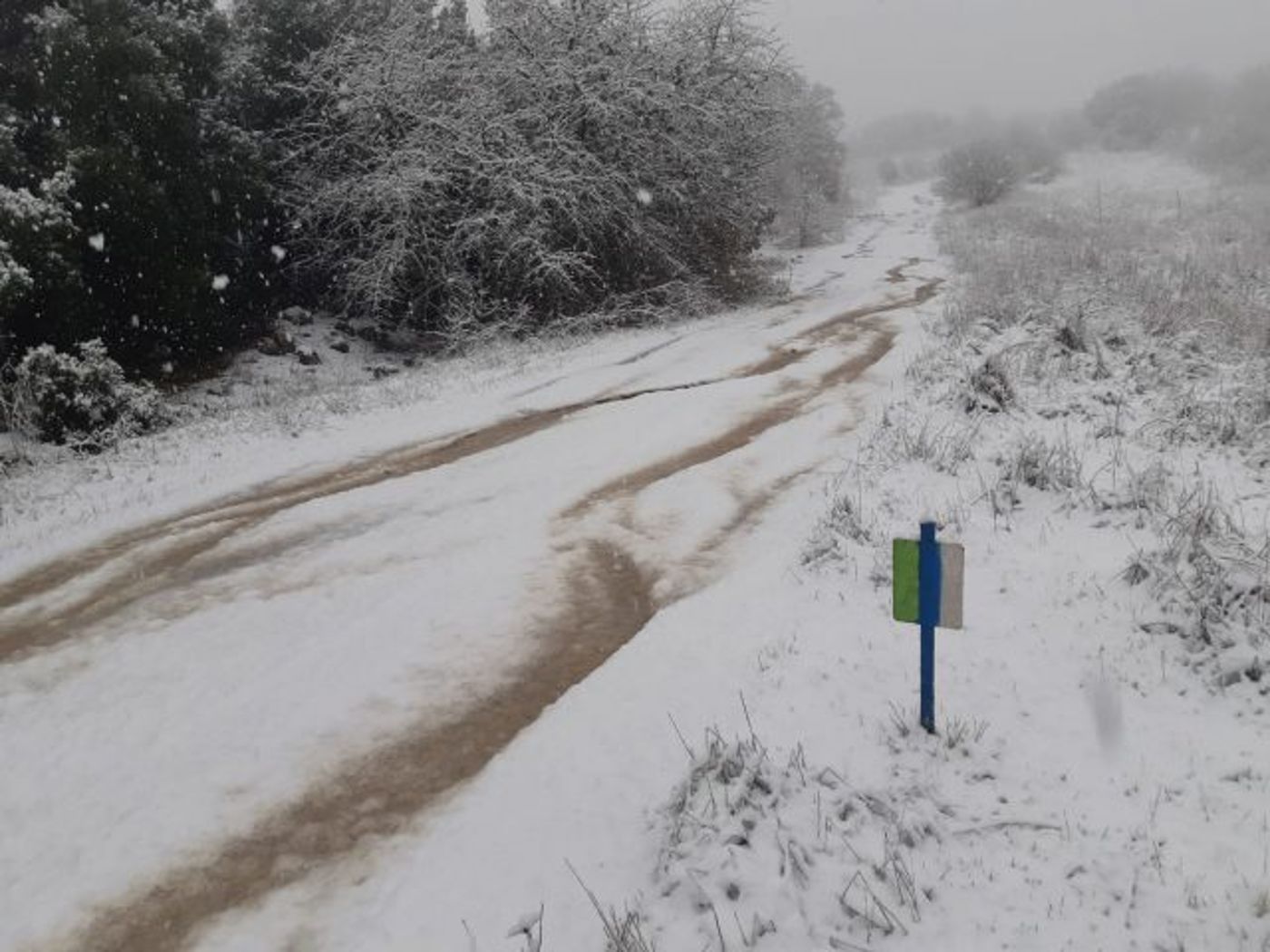 רכס בשנית, שביל הגולן. אוריה ואזנה רשות הטבע והגנים