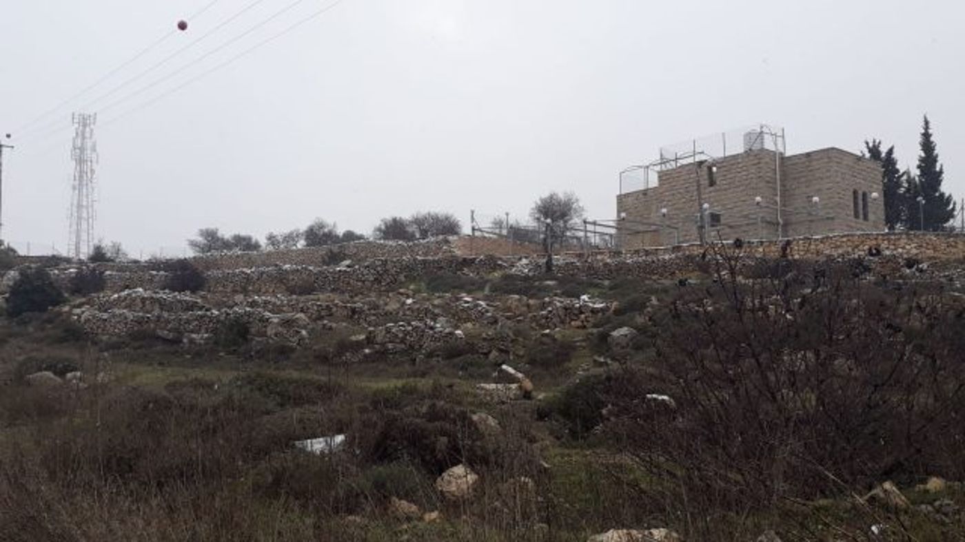פתיתים לבנים בהר חברון (שמעון אסולין)