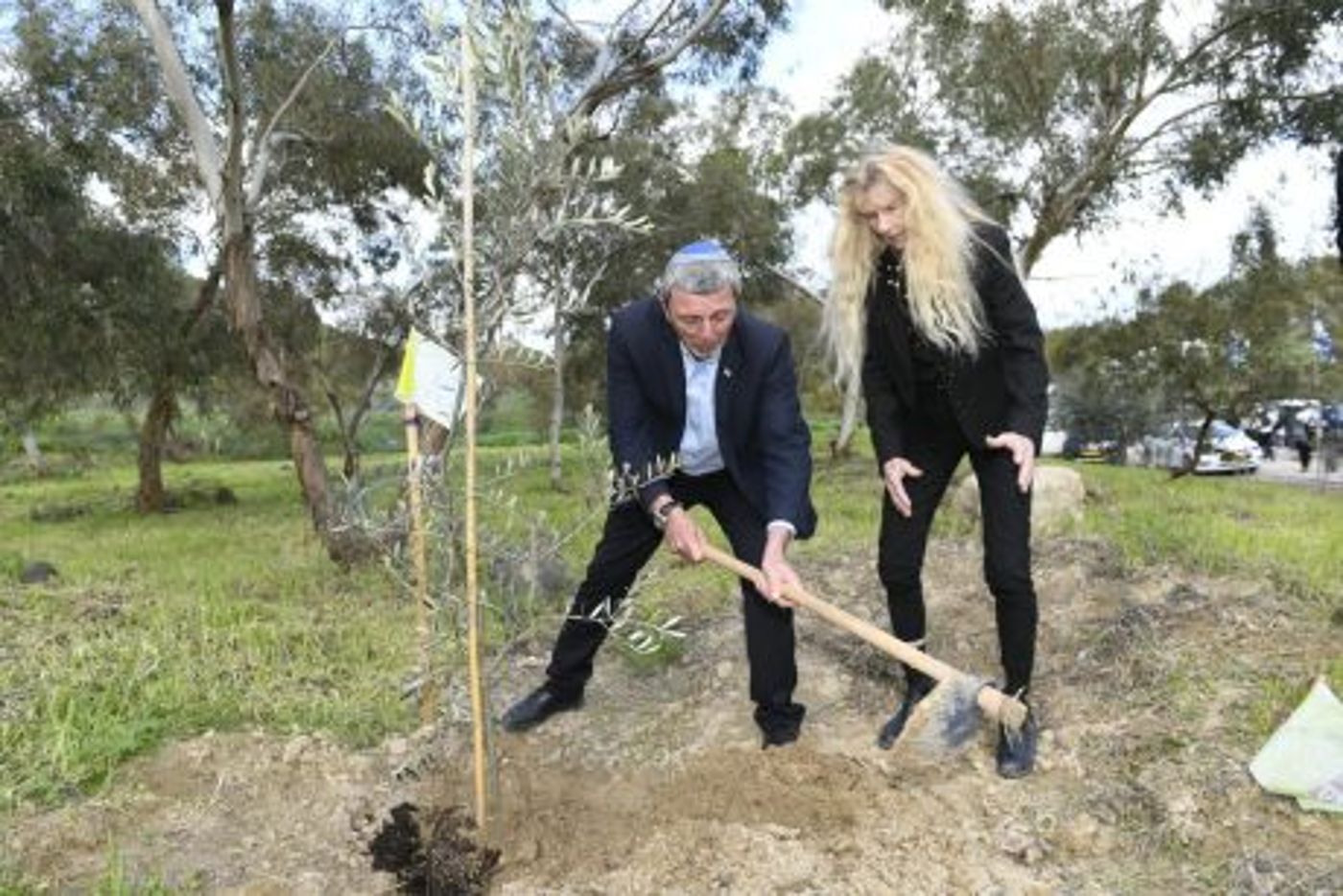 כך הולכים המועמדים: לפני הבחירות, יוצאים לנטיעות
