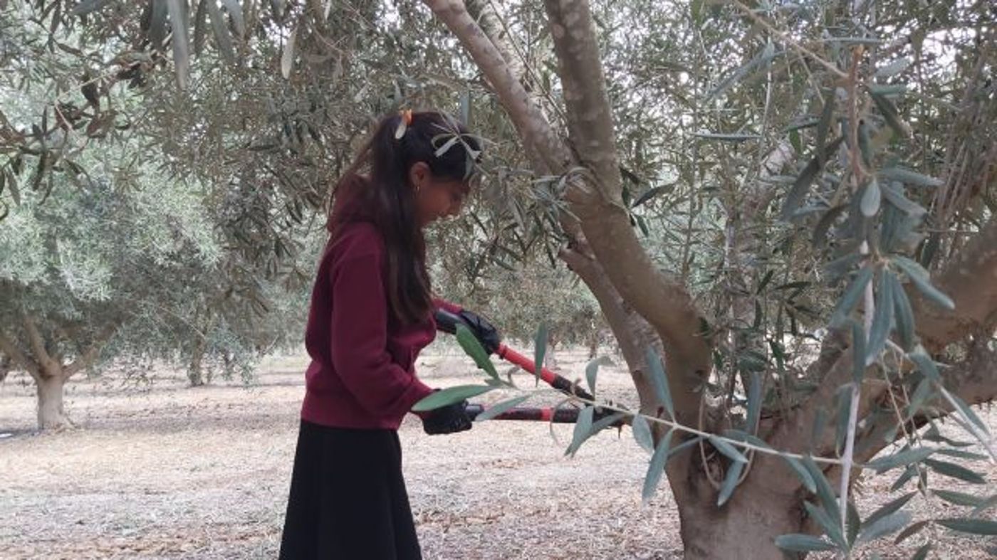 החניכים בפעילות (באדיבות תנועת עזרא)