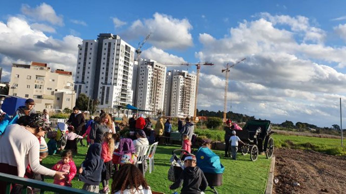 פעילות לט"ו בשבט בכרמי הנדיב. באדיבות המצלם