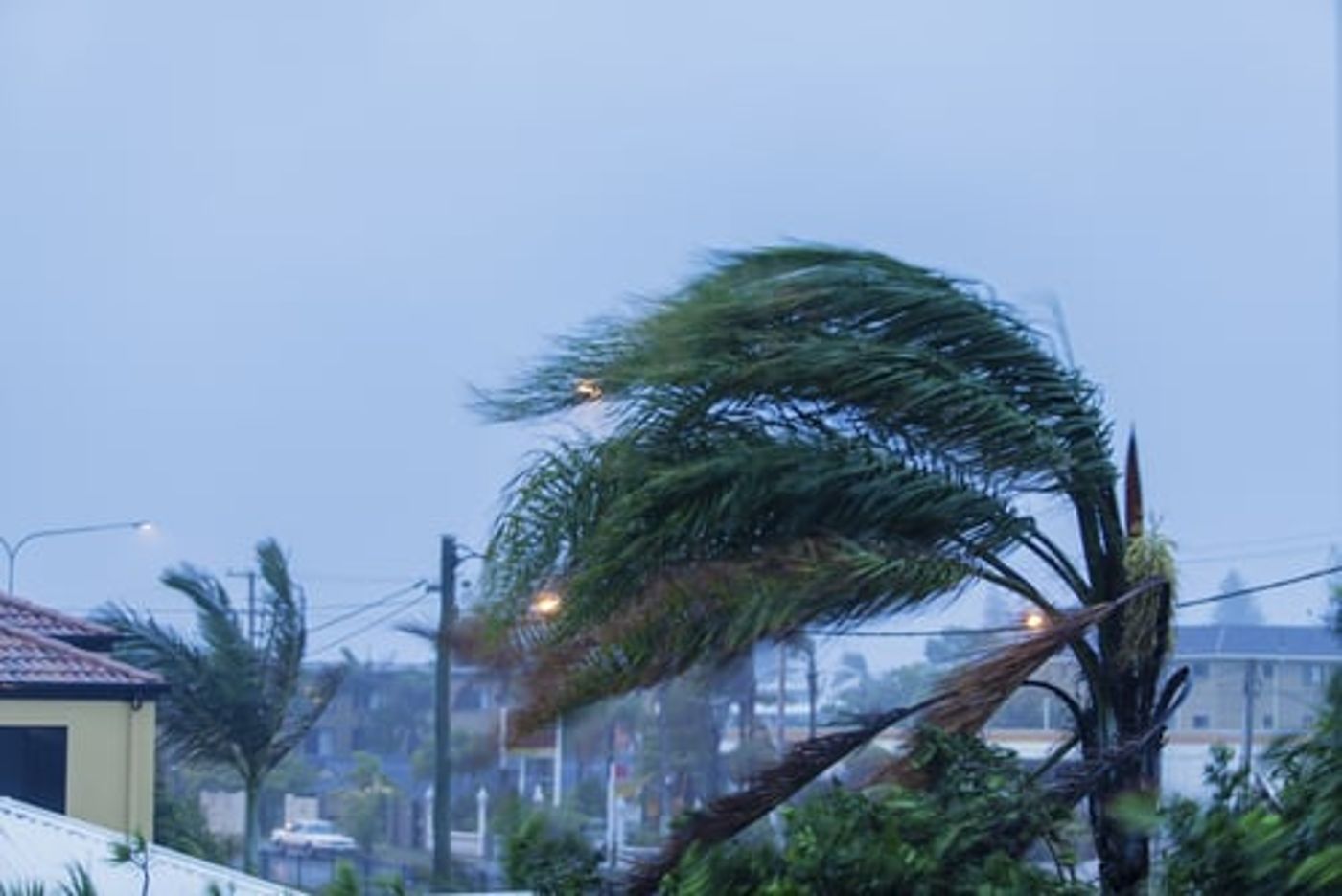 לבטל טיולים ולקשור חפצים: הנחיות לקראת הסערה