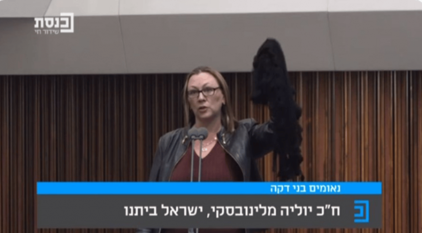 מלינובסקי: "אתה סיימת את זמנך" (קרדיט: ערוץ כנסת)