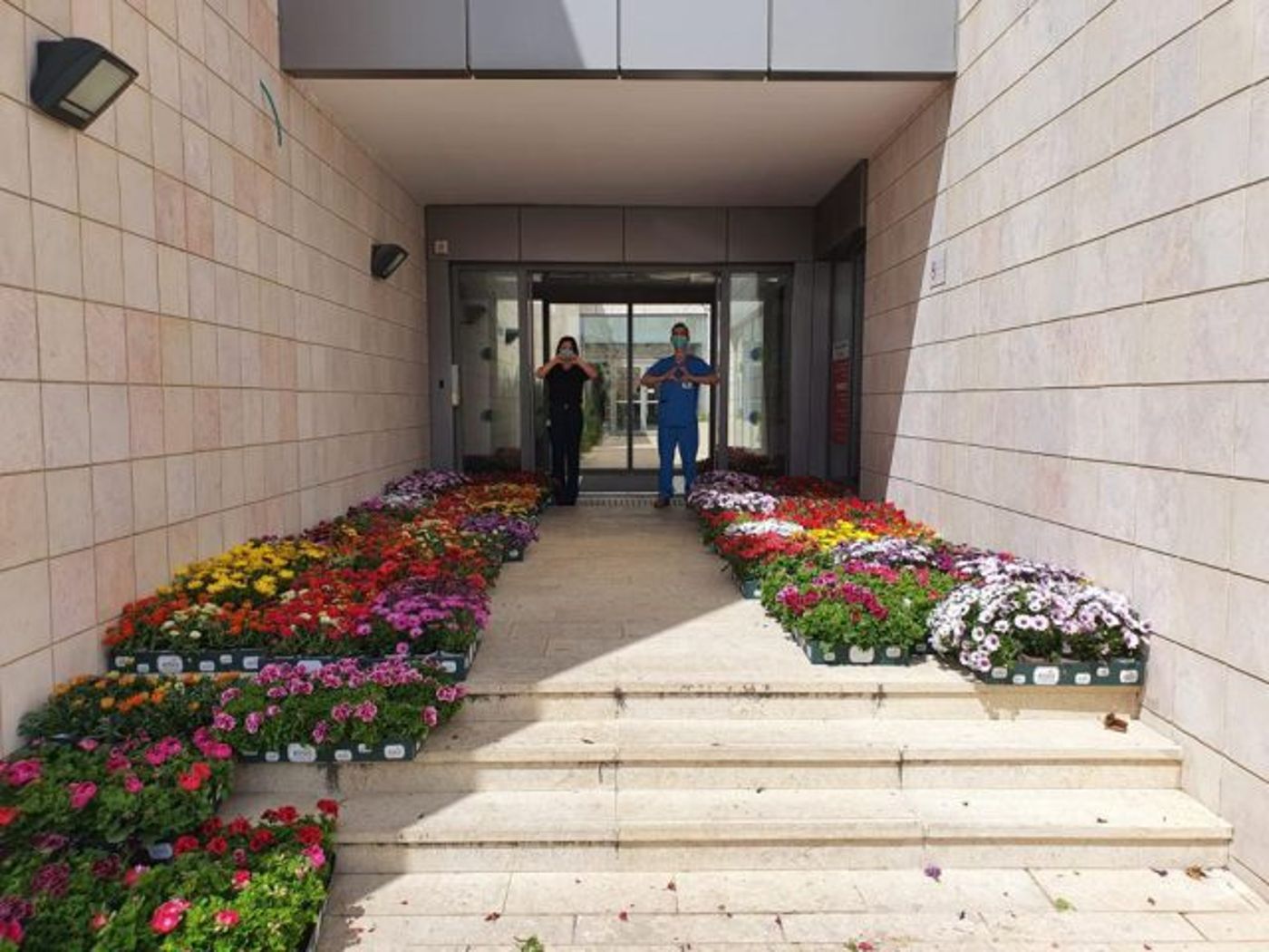 המשתלה מהדרום שכבשה את בתי החולים