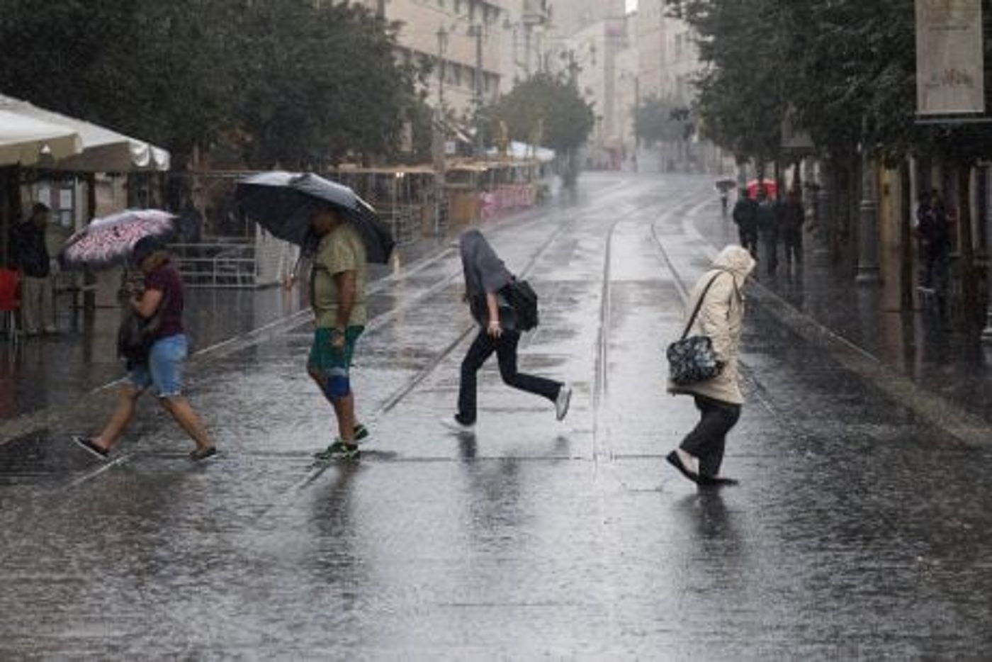 "אלפיס" מאחורינו: כמה גשם ירד כבר ברחבי הארץ?