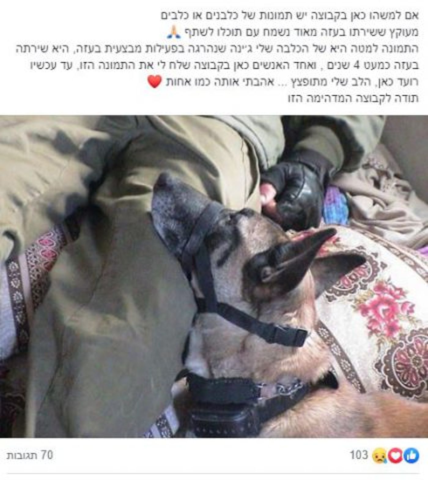 פיגועים, צחוקים וסיפורים: "רצועת עזה טרם הנסיגה"