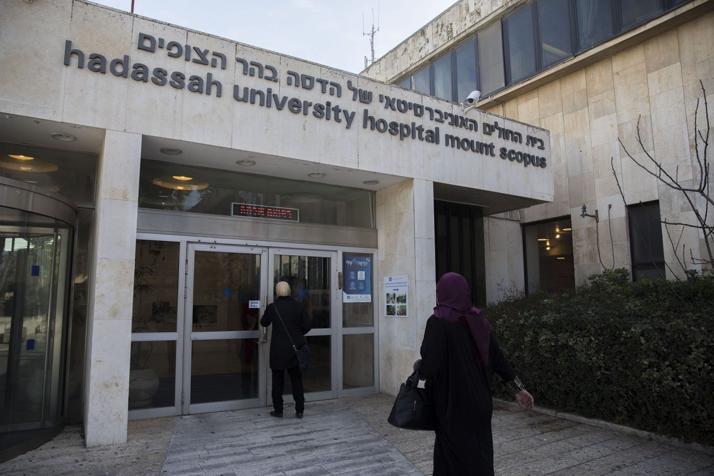 הדסה הר הצופים, אילוסטרציה