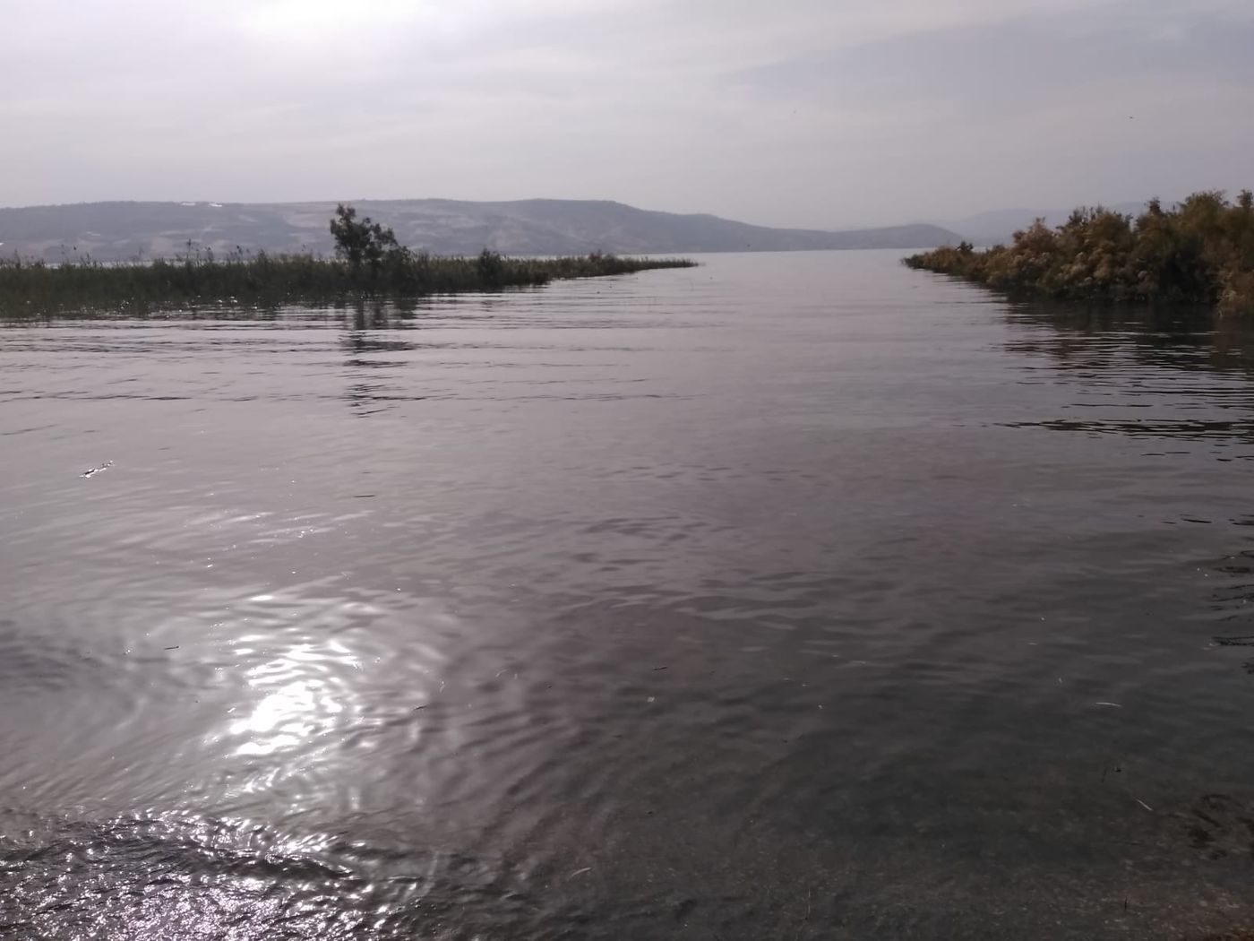 למרות השרב: מפלס הכנרת שומר על יציבות