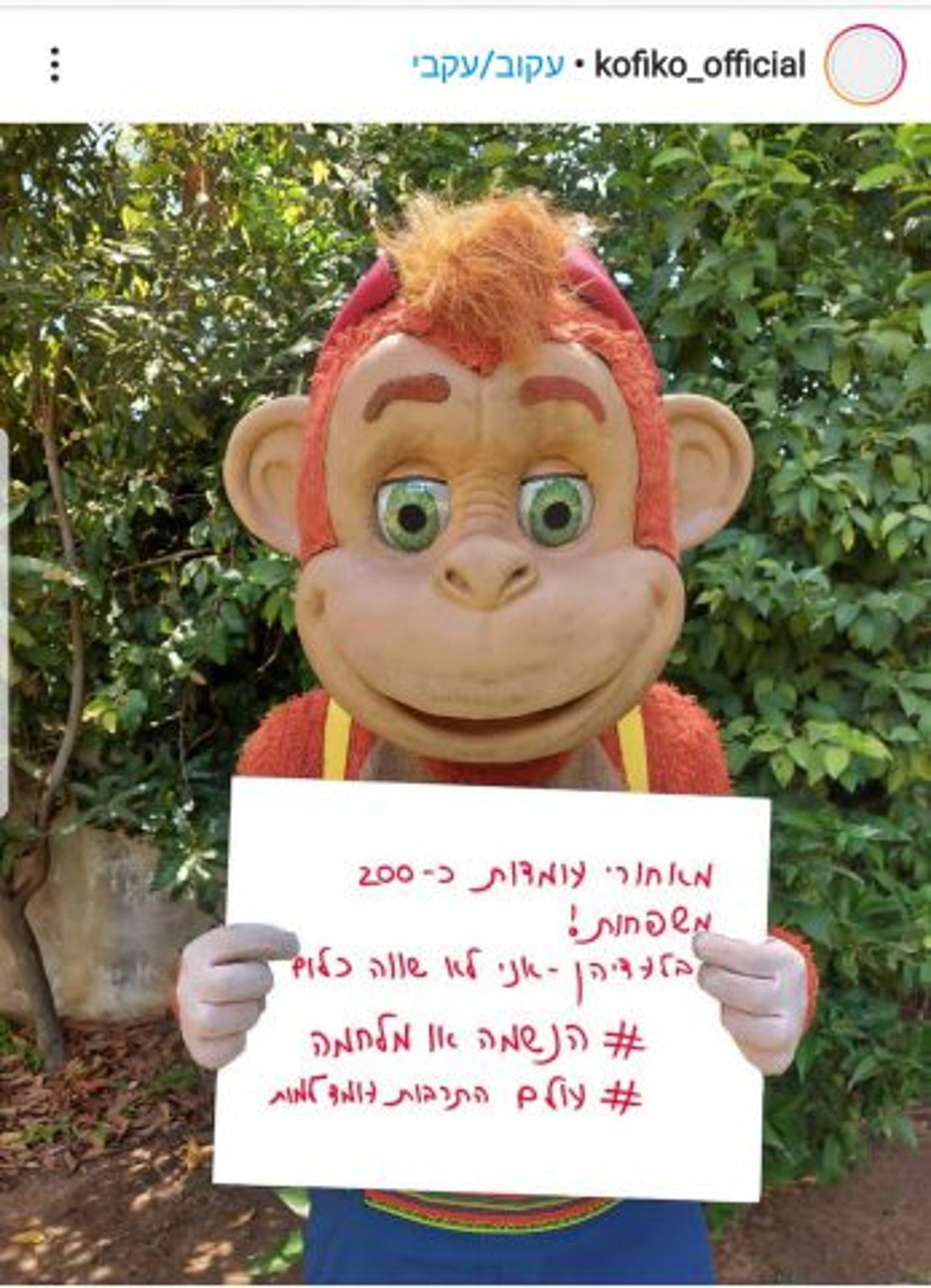 מאנדרדוס עד ליאור סושרד: תעשיית התרבות  במלחמה