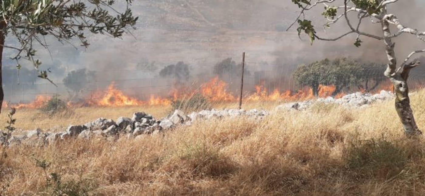 שריפה ענקית סמוך לגבעת רונן; העלייה ליישוב נחסמה