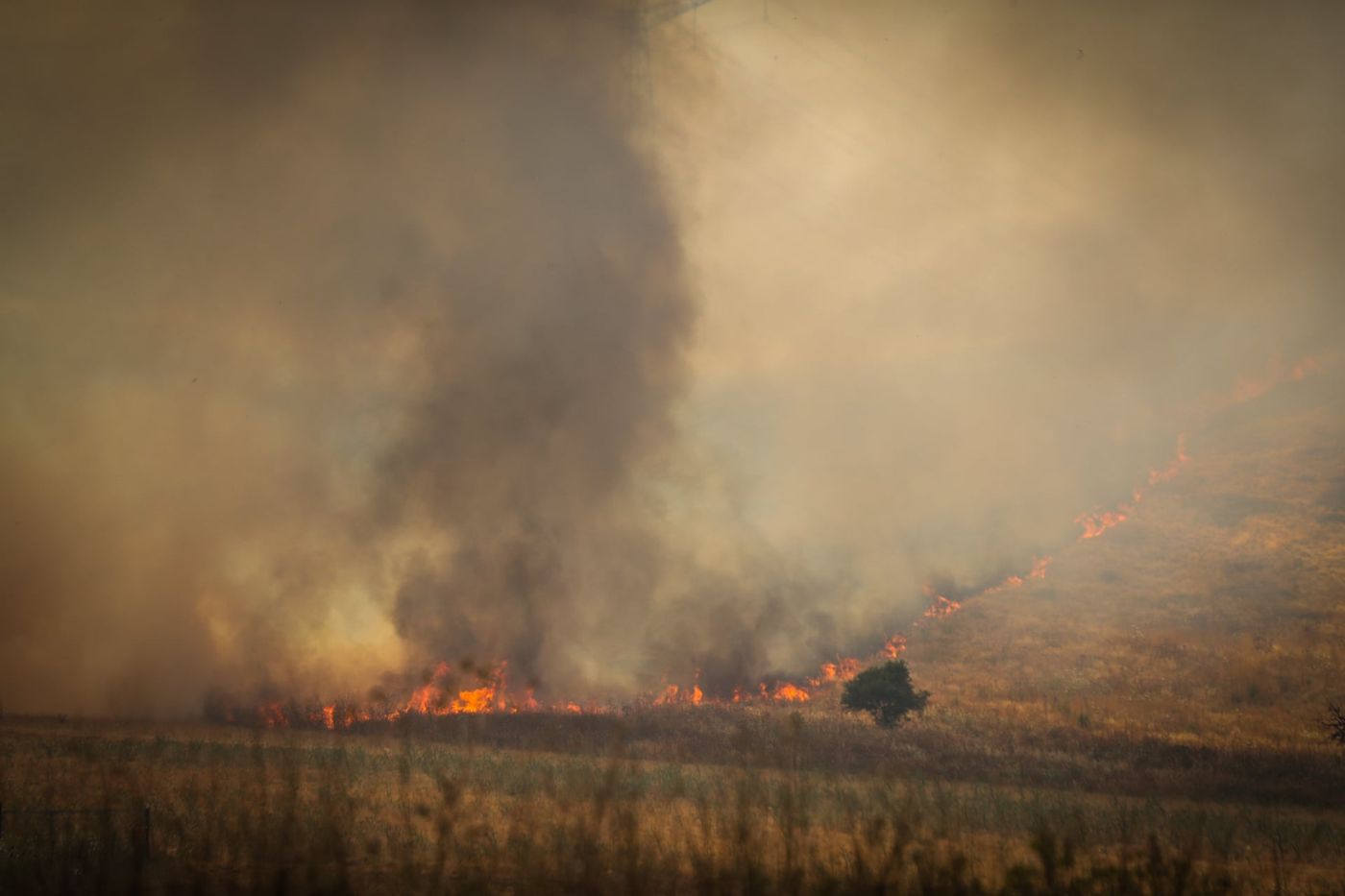 בחודש וחצי: עשרות שריפות ביו"ש הוגדרו כהצתות טרור