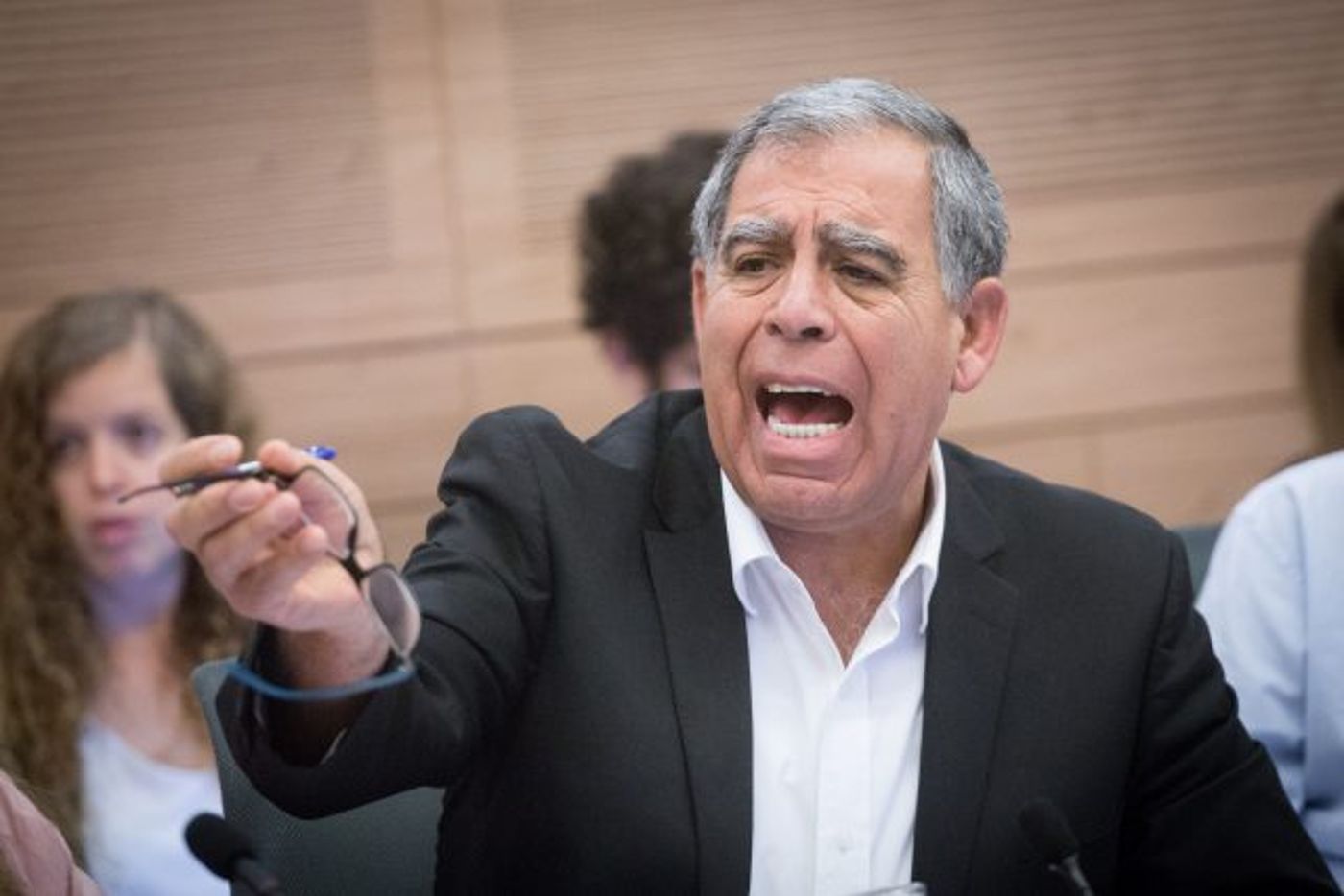 ח"כ מיקי לוי: טירוף מערכות