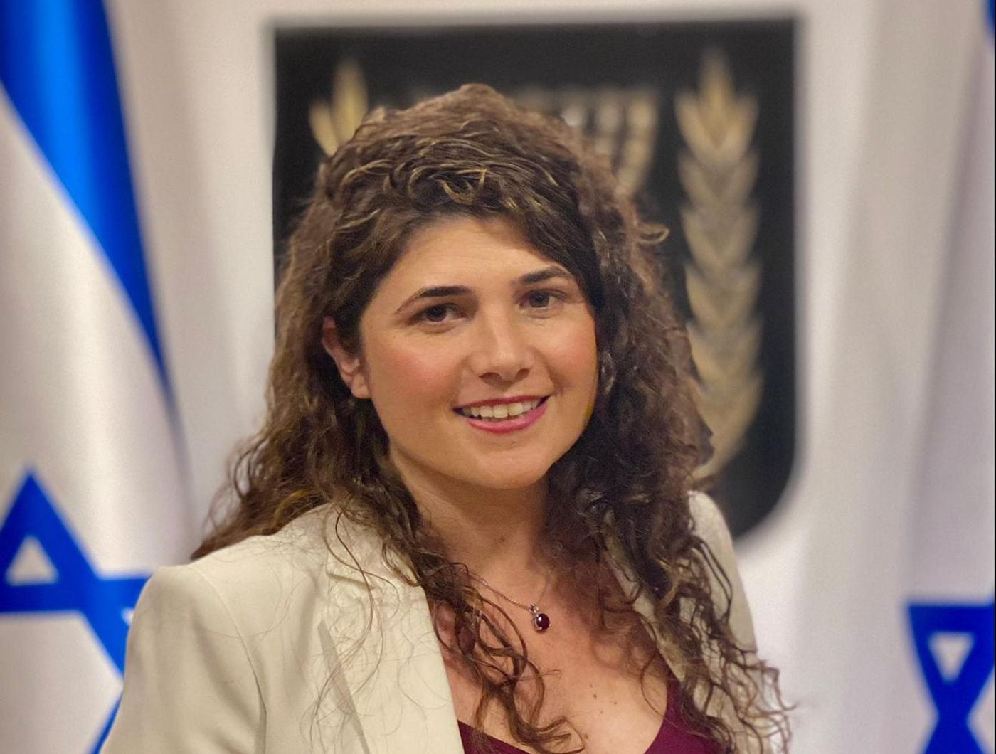 שרן השכל תמונה ליו"ר ועדת החינוך; ומה בני בגין?