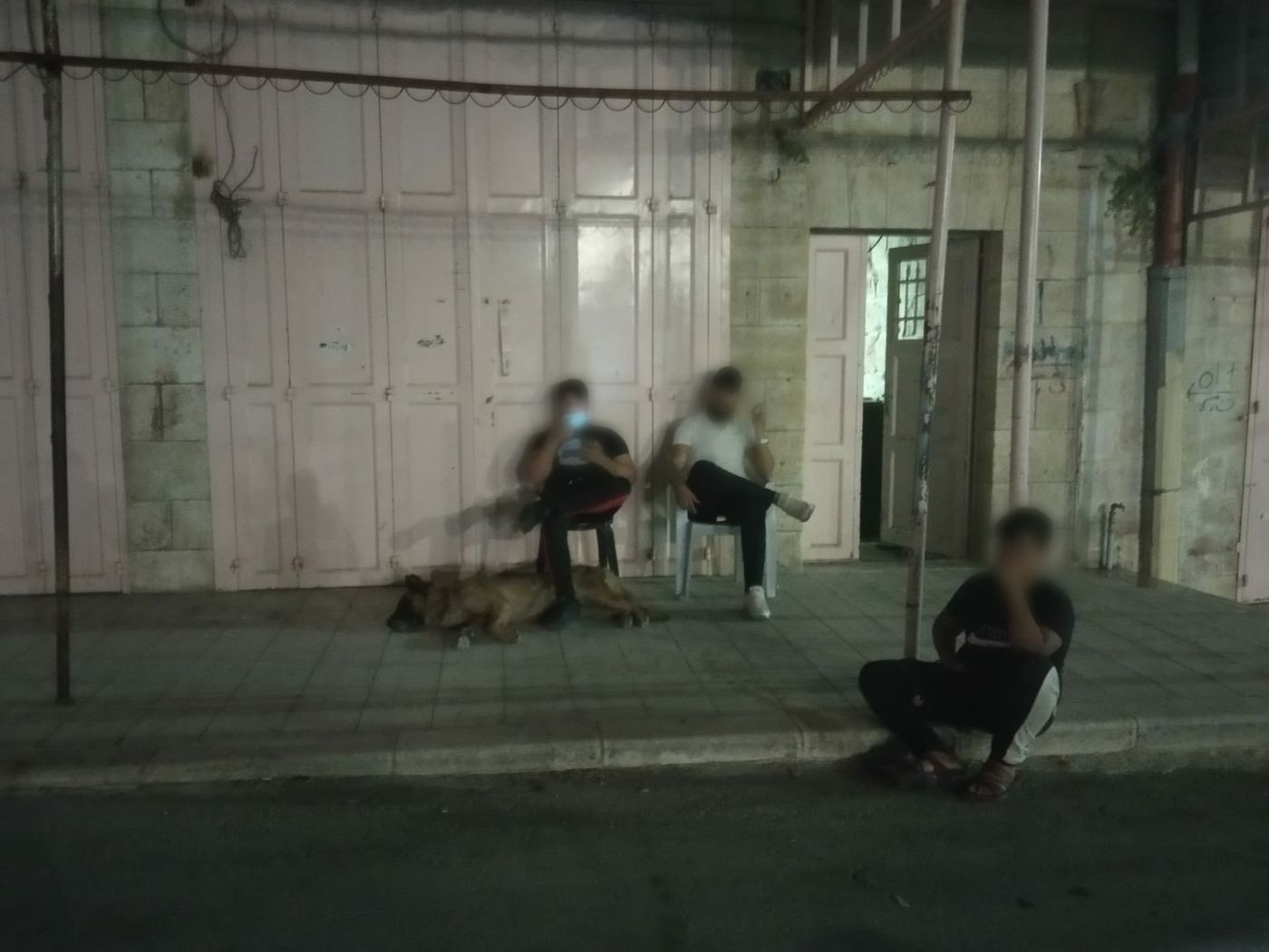 כלב תקיפה שוחרר לעבר תושבת חברון, אין עצורים