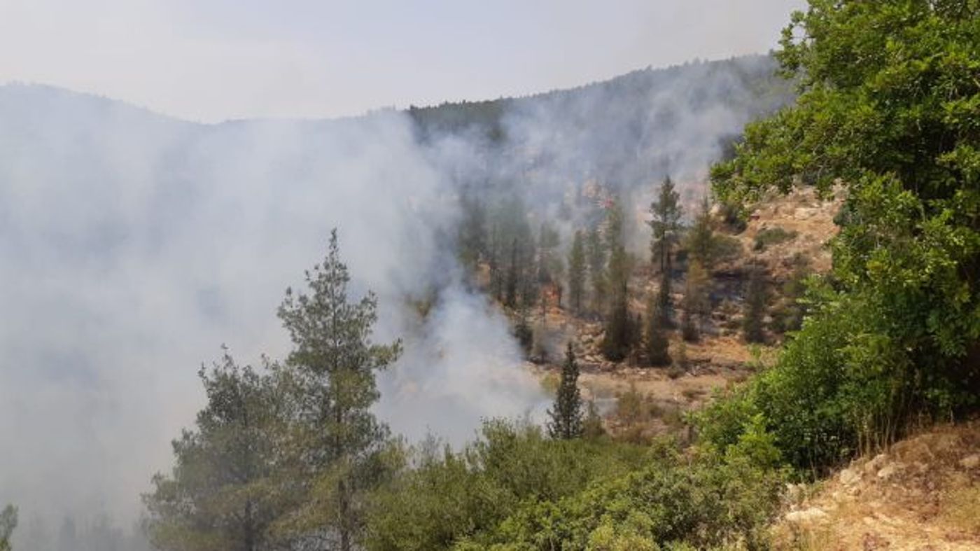 שריפה חורש משתוללת באזור ירושלים