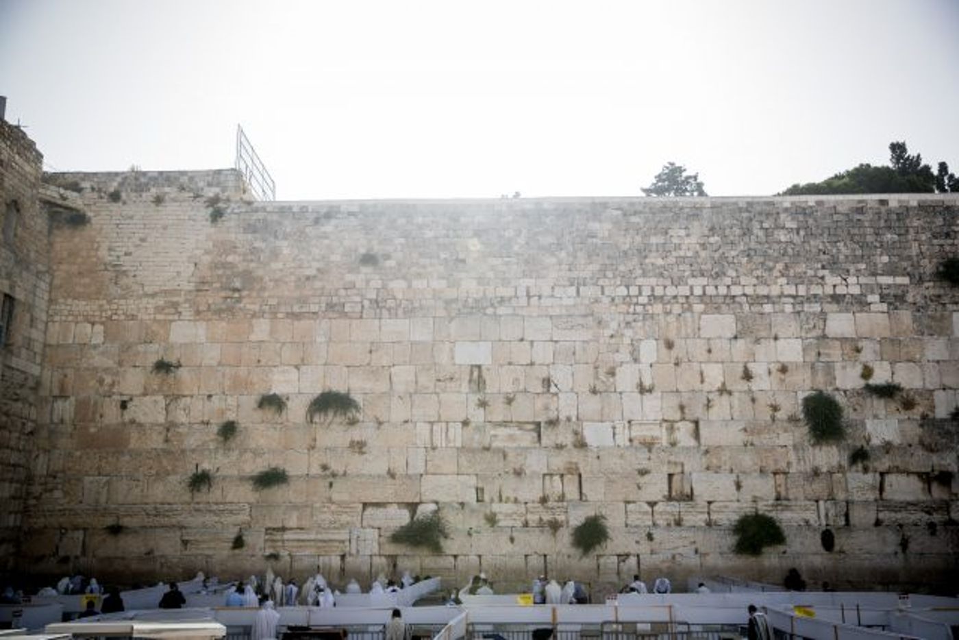 הכותל המערבי ריק (יונתן זינדל/פלאש90)
