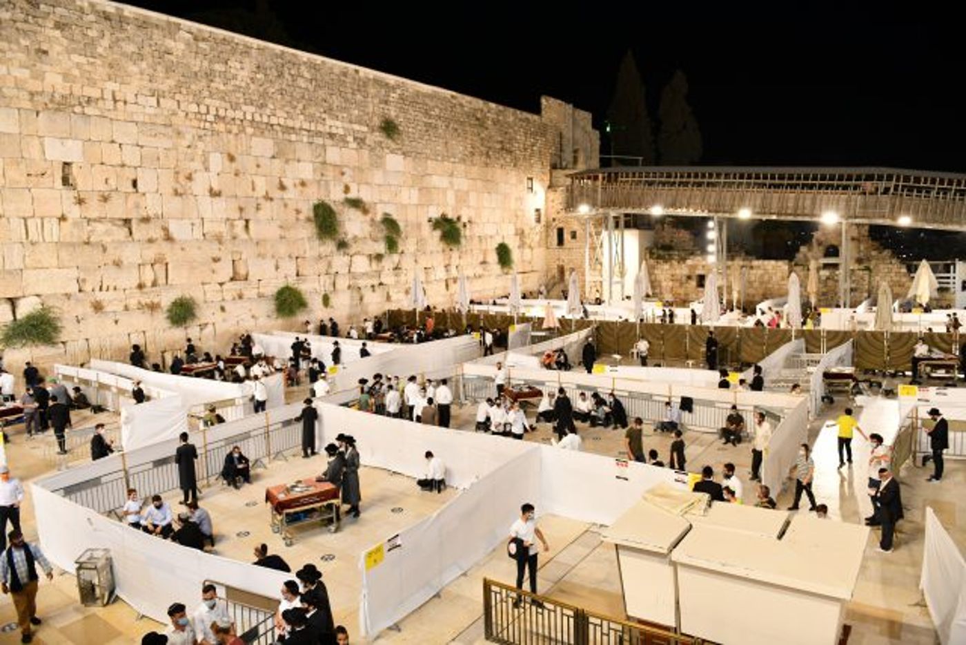 עד 20 איש. הכותל המערבי בתשעה באב (מענדי הכטמן/פלאש90)