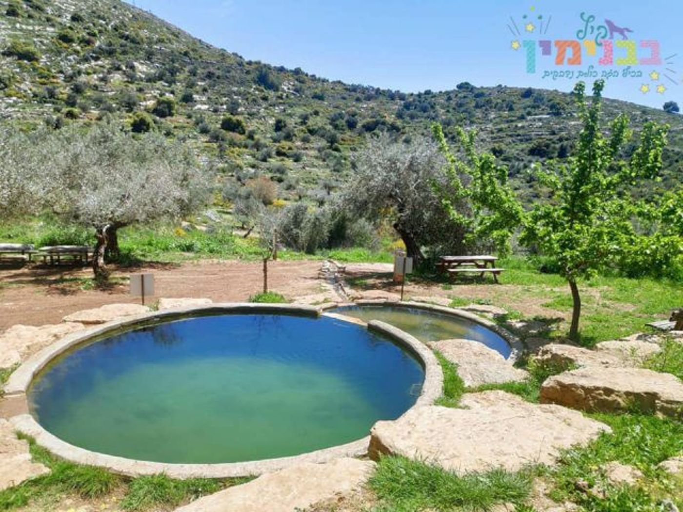 צילום: בנימין