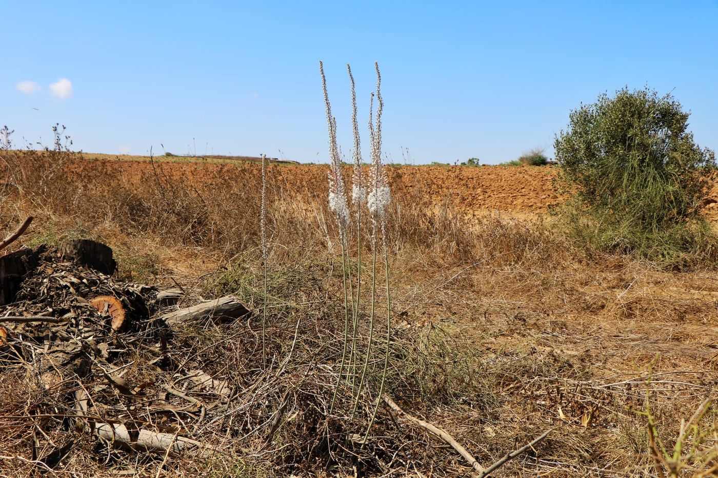 הסתיו כבר פה | צפו בתיעוד מעוטף עזה