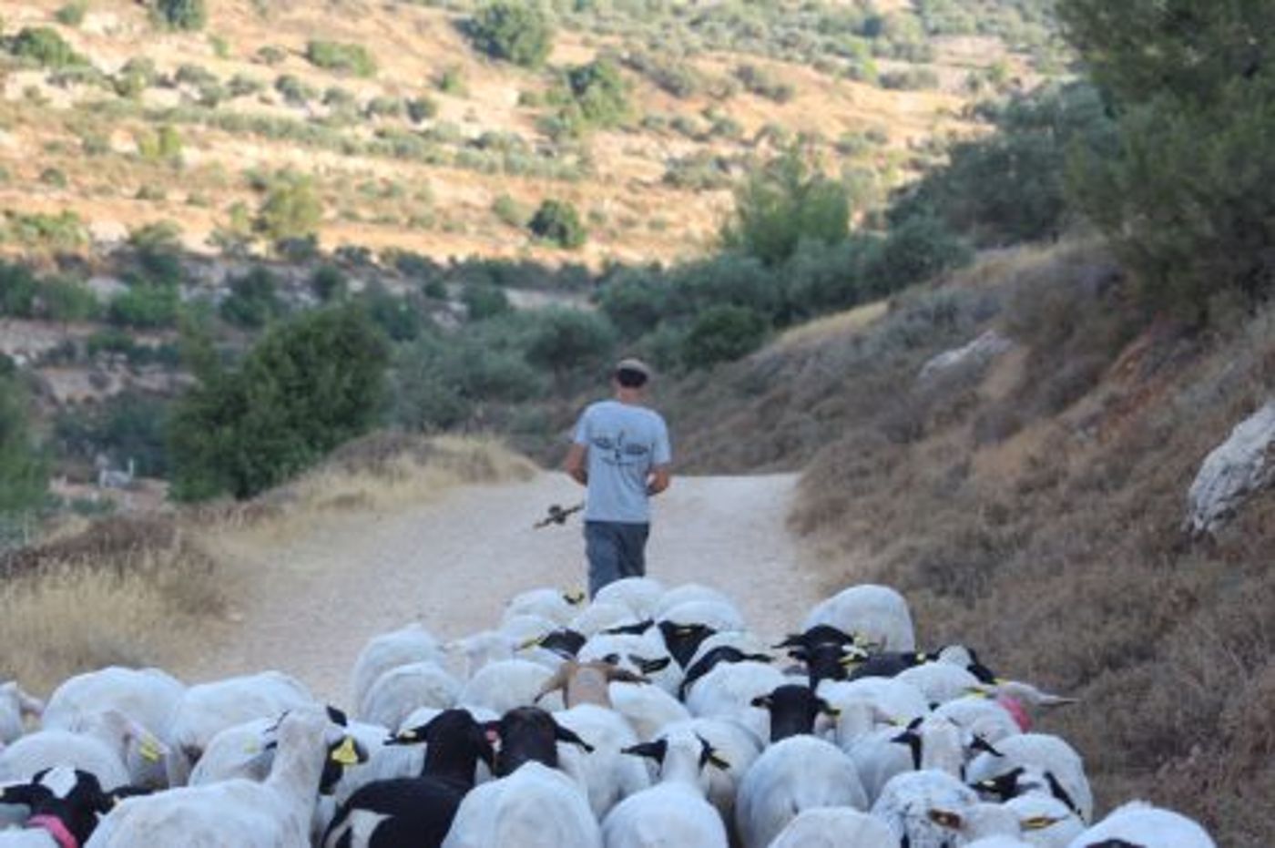 אמא של אורי אנסבכר הי"ד: "אני מדמיינת אותה למעלה מחייכת ומברכת אתכם"
