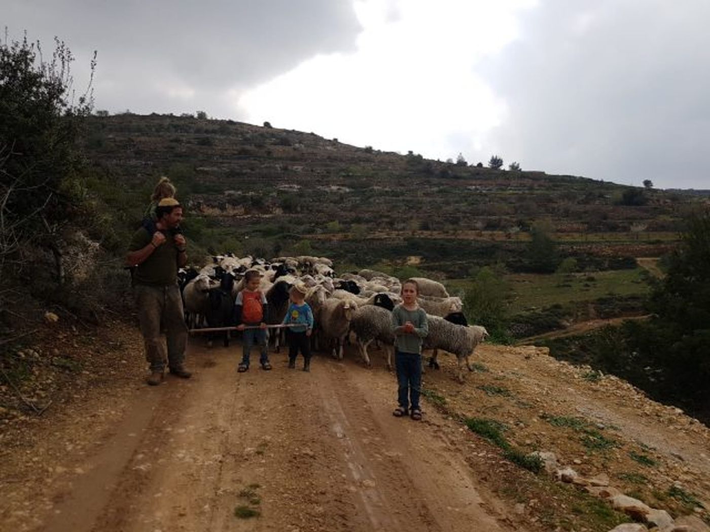 חוות נווה אורי: החלקה הקטנה של אורי אנסבכר