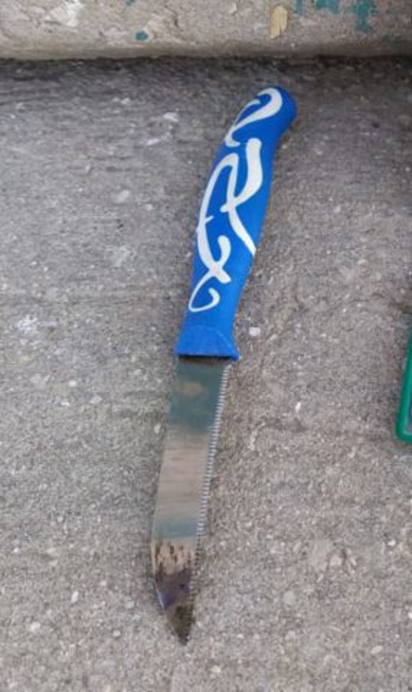 תמונת הסכין שאחז המחבל.