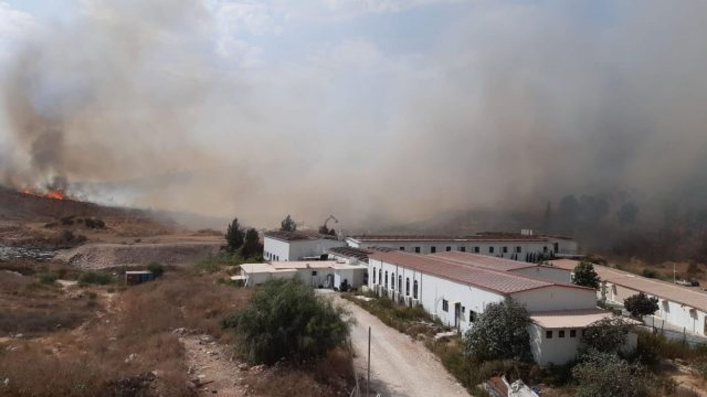 בנימין, שומרון ונוף הגליל: שריפות ענק ברחבי הארץ