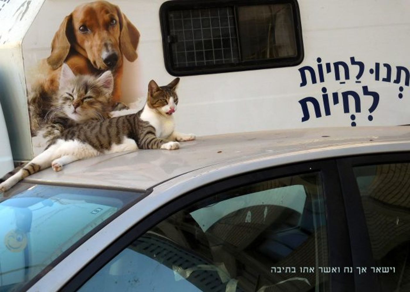 מרהיב: ספר 'בראשית' בתמונות מיוחדות