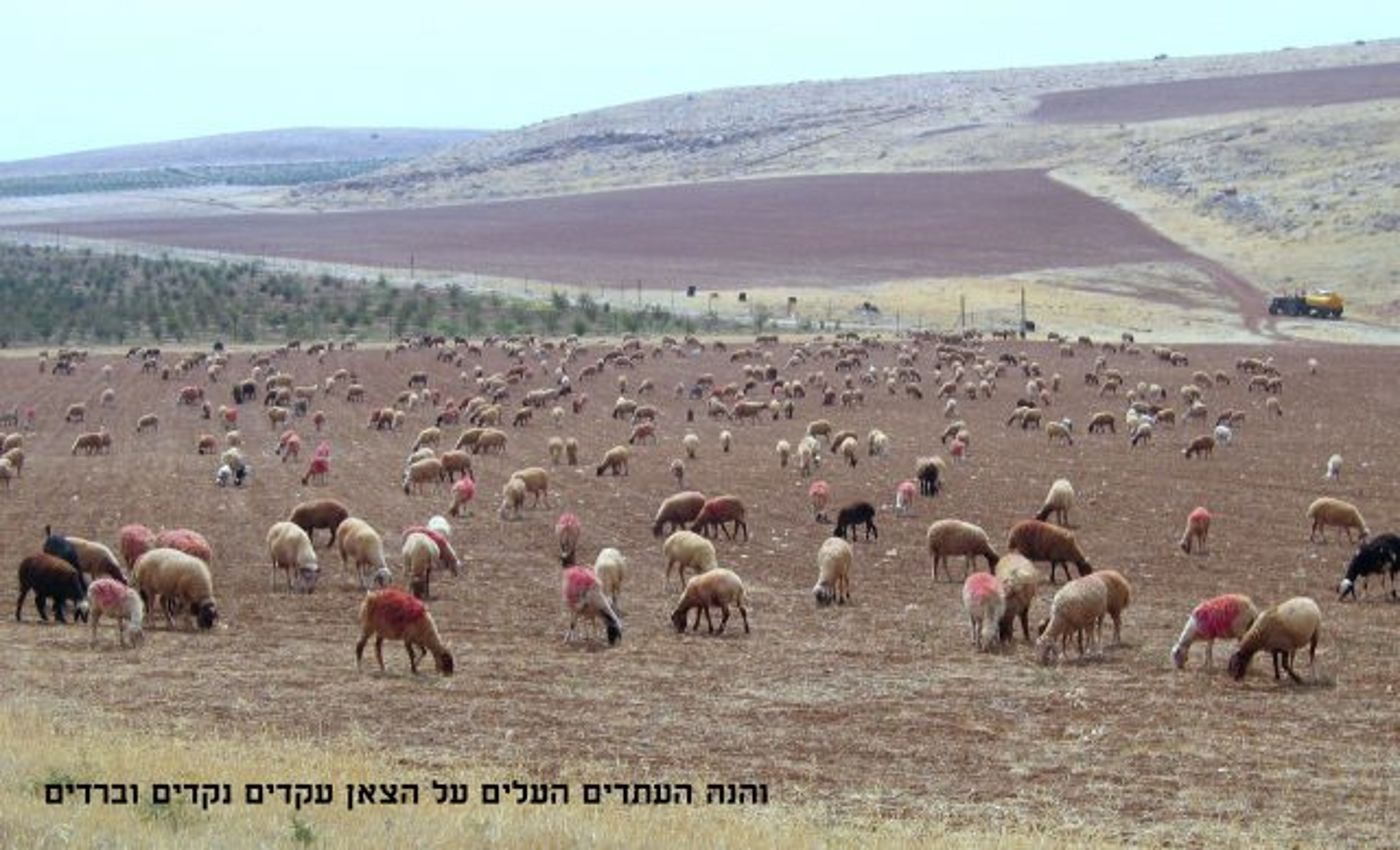 מרהיב: ספר 'בראשית' בתמונות מיוחדות
