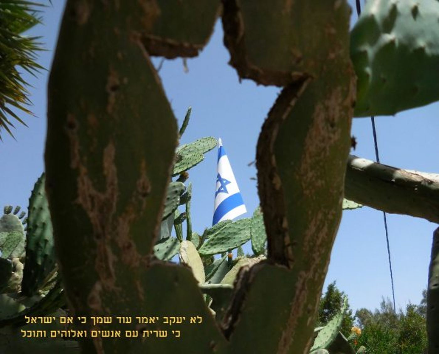 מרהיב: ספר 'בראשית' בתמונות מיוחדות