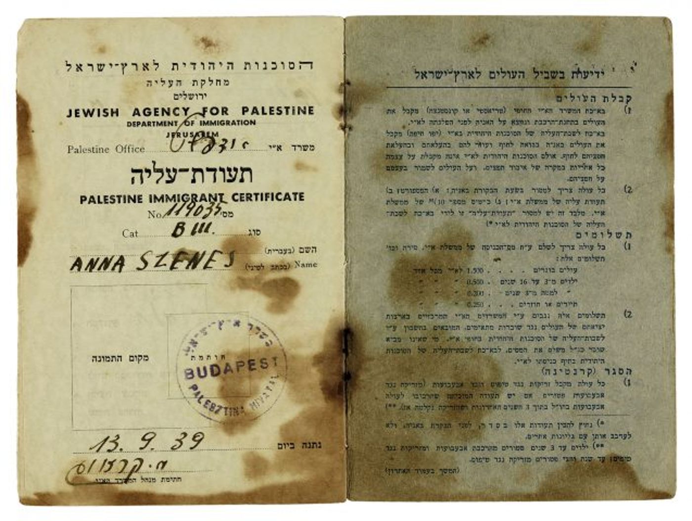 סרטיפיקט 13.09.1939