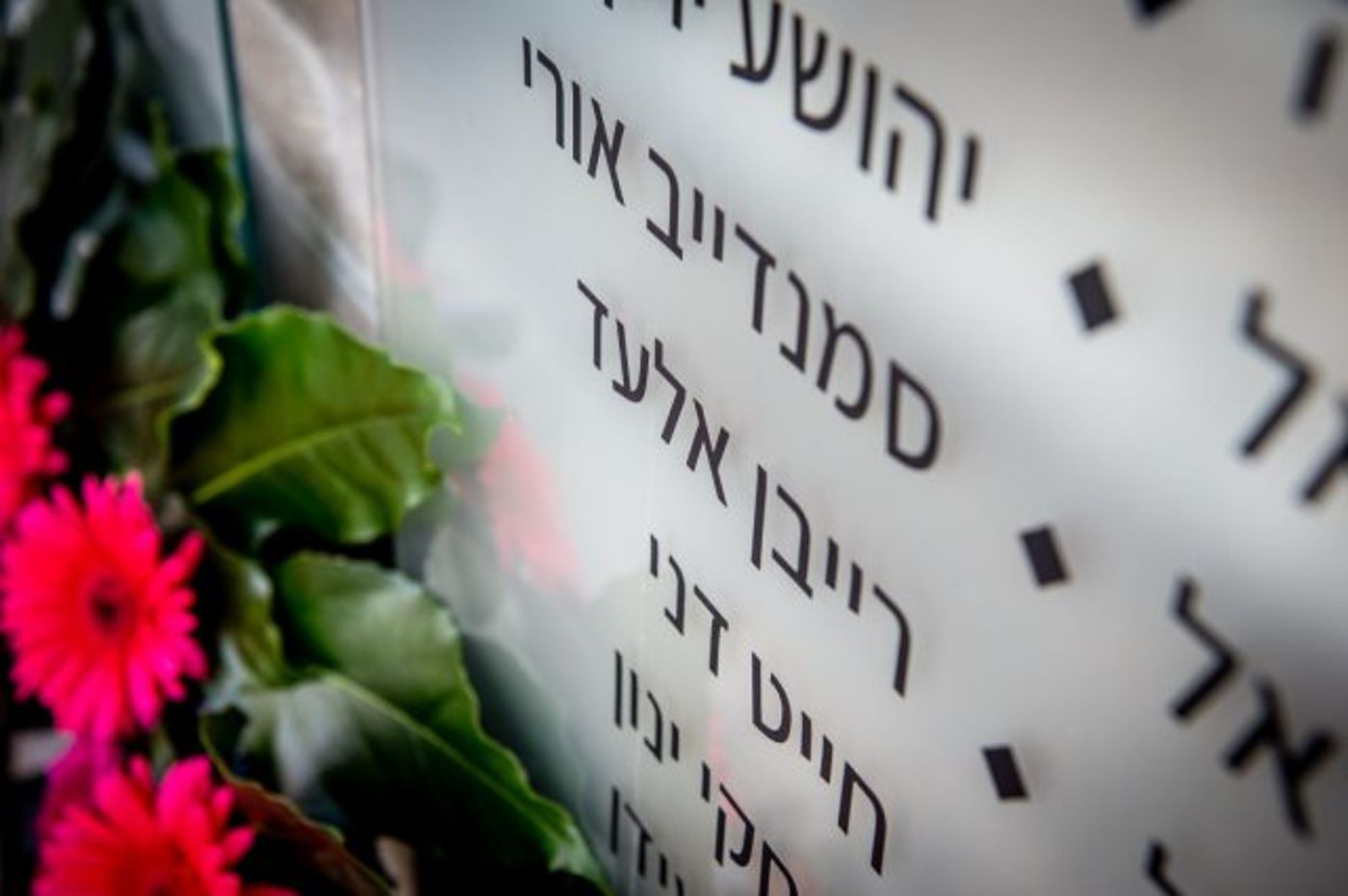 קרדיט: תיעוד מבצעי כב"ה