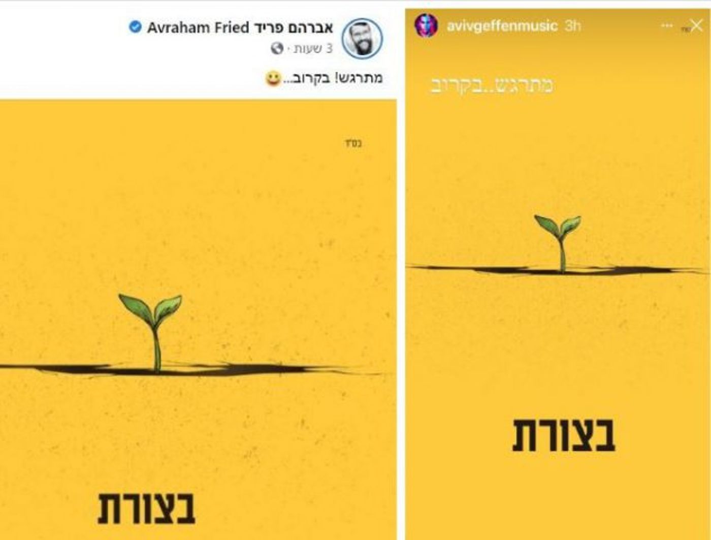 גפן ופריד חושפים (צילום מסך)