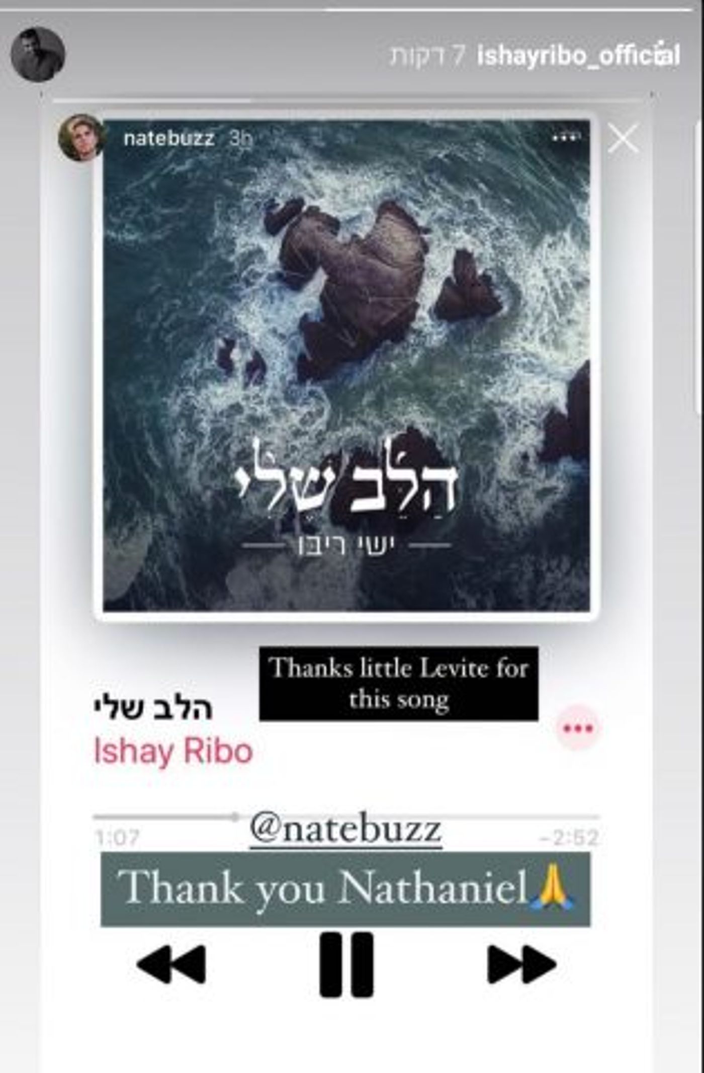 (צילום מסך)