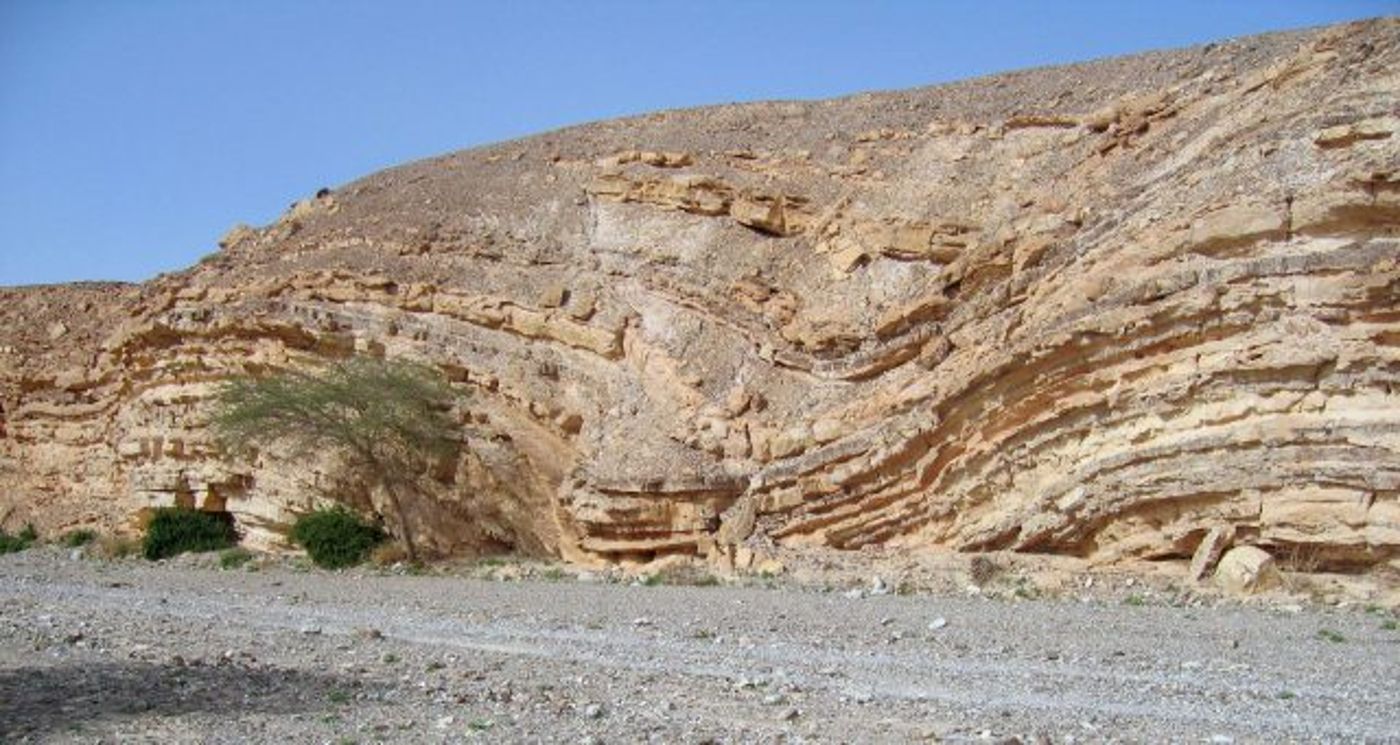 מזווית אחרת: ספר 'שמות' בתמונות מרהיבות