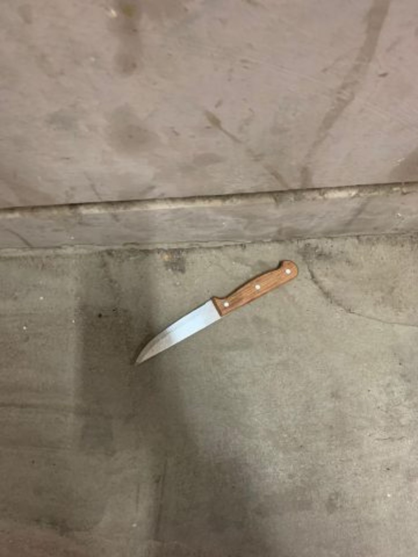 קרדיט: דוברות המשטרה