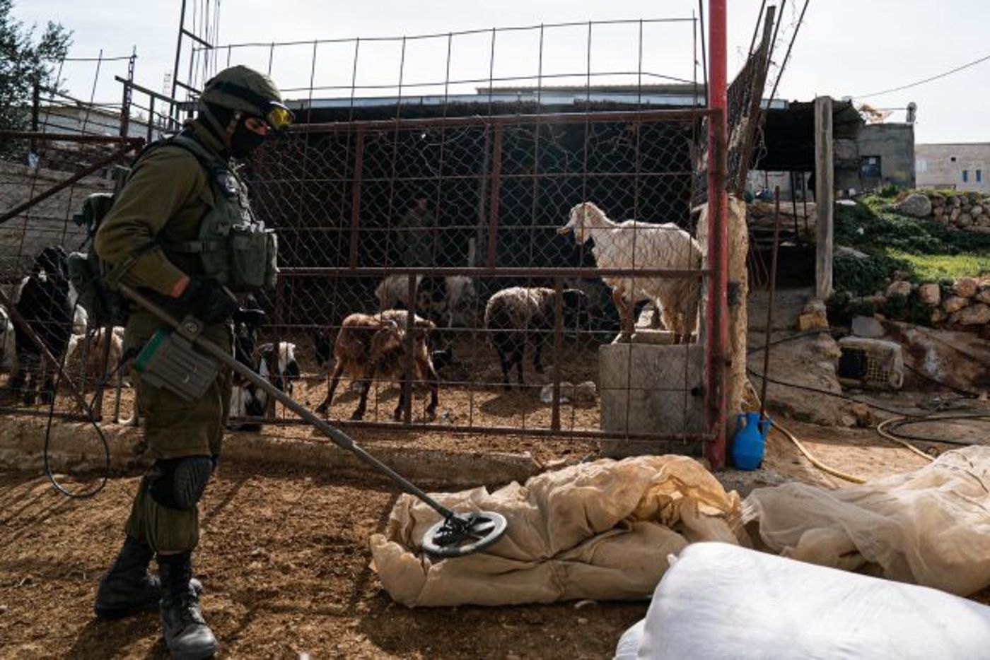 תיעוד: כך תופסים אמל"ח וכסף טרור בהר חברון