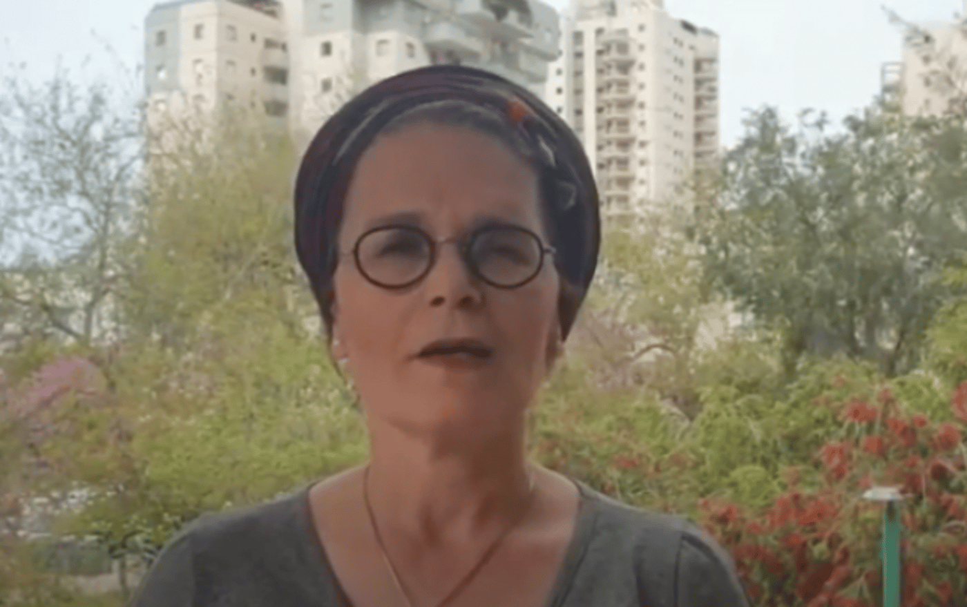 צילום מסך