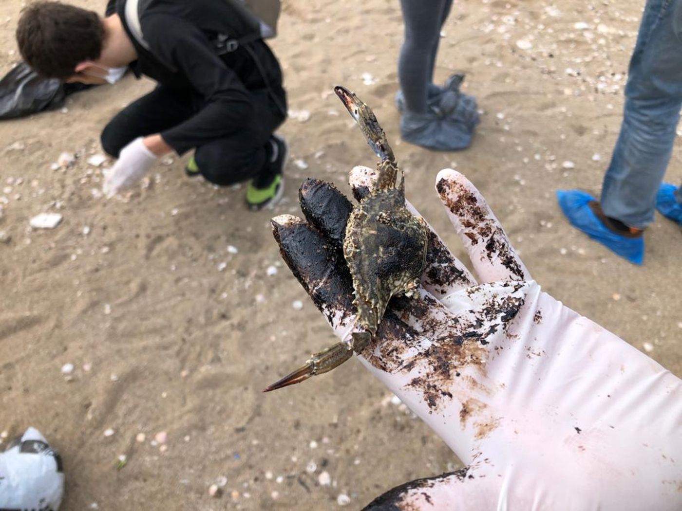 מקומם: צו איסור פרסום על חקירת האסון האקולוגי