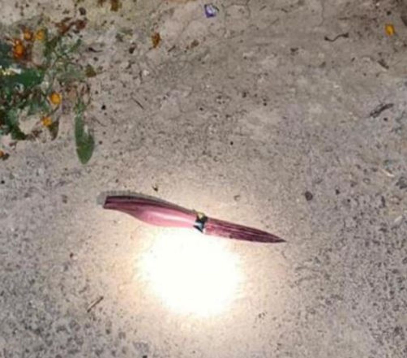 מחבלת חדרה לחוות שדה אפרים וניסתה לדקור אישה