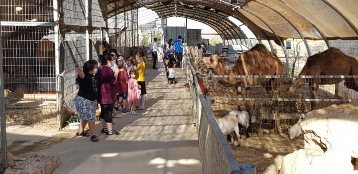 חול המועד פסח: חוגגים בספר המדבר של גוש עציון