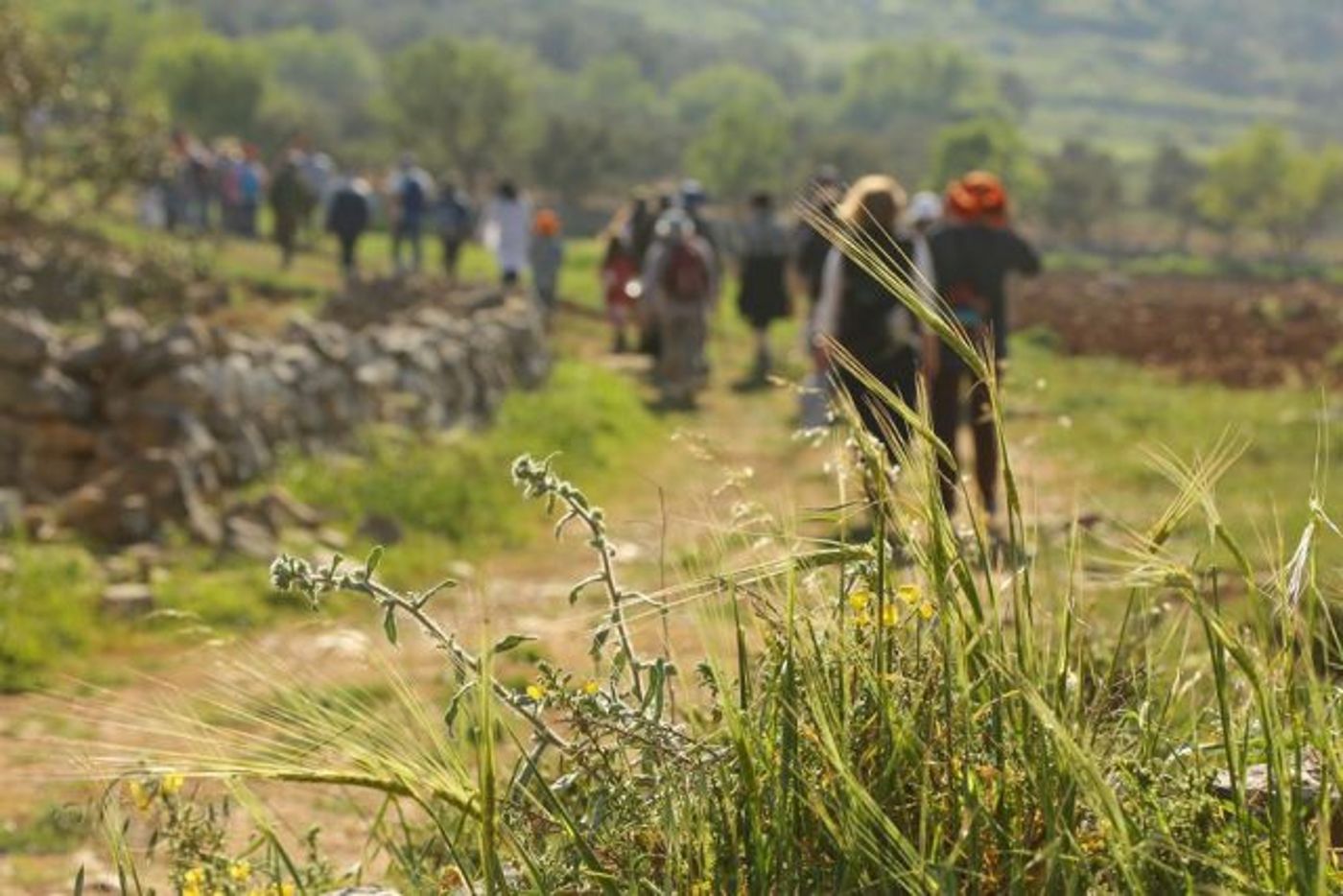רגע לפני החג: אלמונים השחיתו את מזבח יהושע
