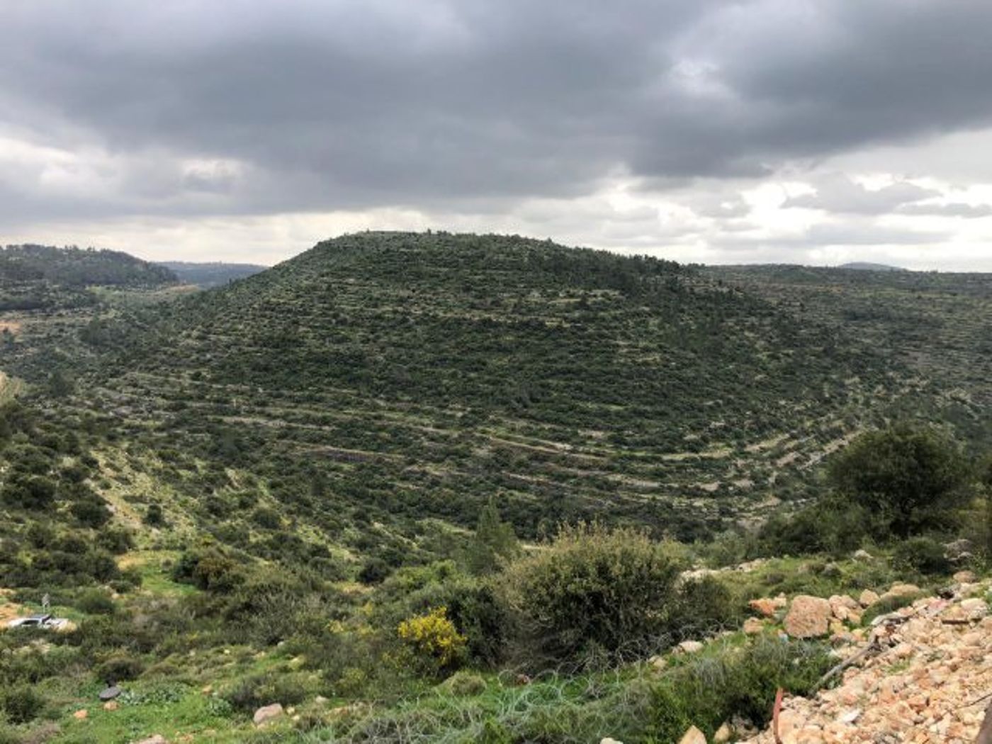 שביל הציפורים