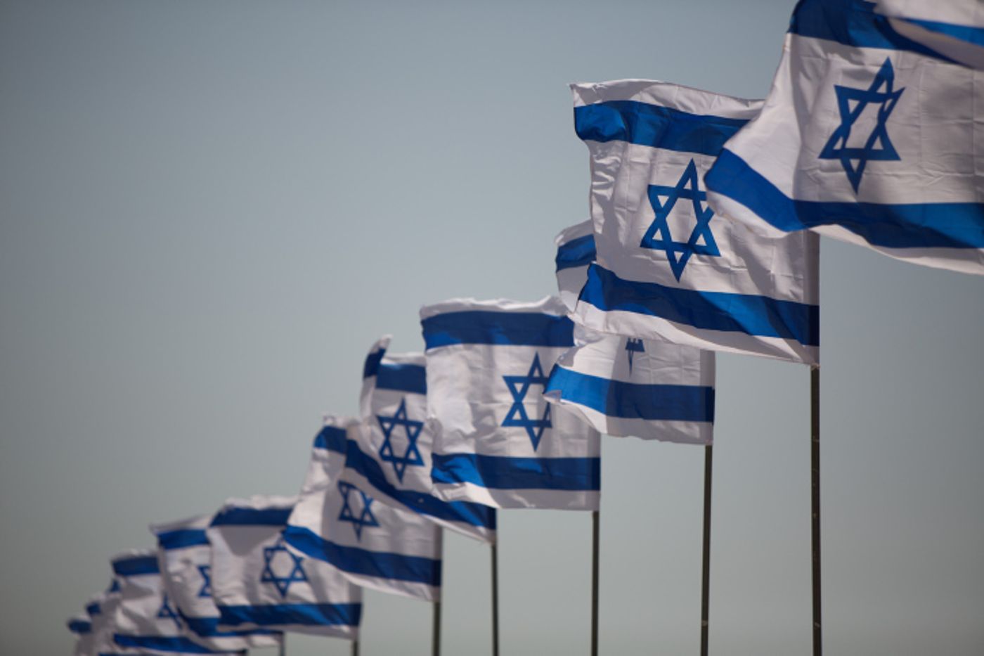 מניפים את הדגל: תנועת רגבים מחלקת אלפי דגלים