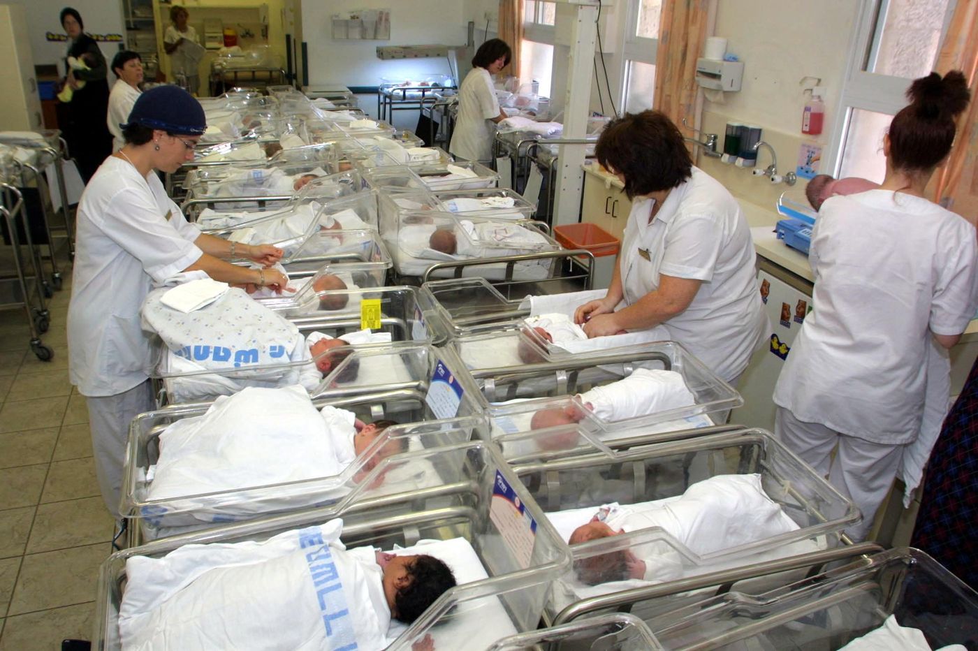 עו"ד על הפרשה • תזריע: בחירת מין היילוד