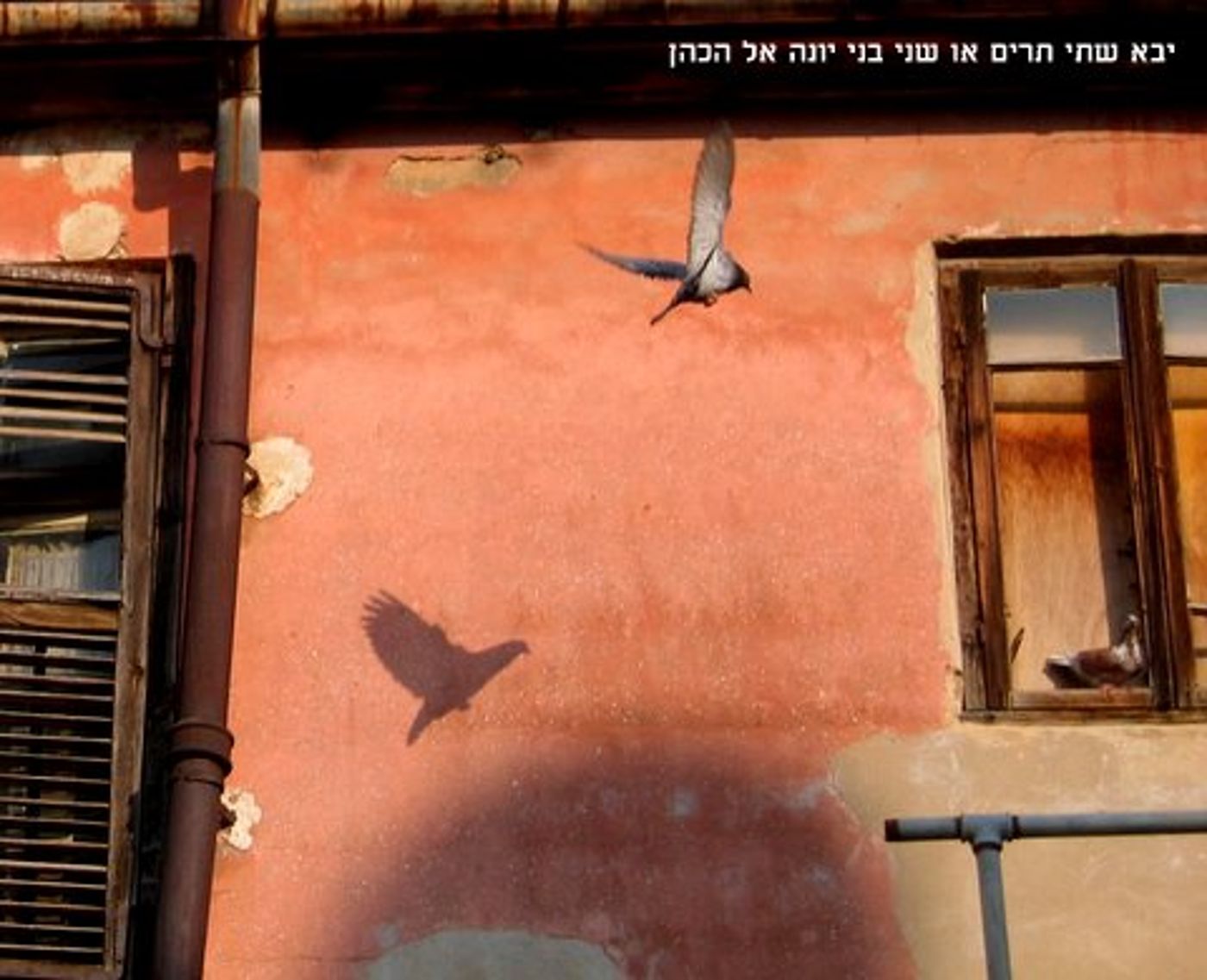 מרהיב! ספר במדבר מזווית אחרת; תמונות מספרות