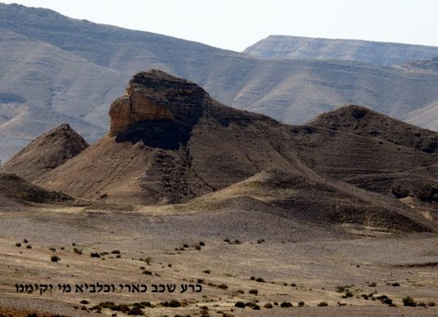 מרהיב! ספר במדבר מזווית אחרת; תמונות מספרות