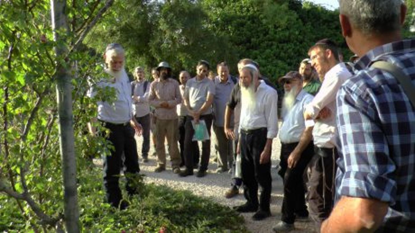 לקראת שנת השמיטה: הגננים מתכוננים לאתגרים